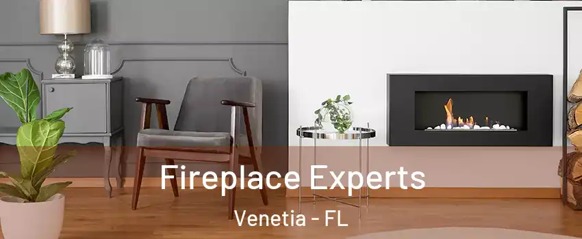 Fireplace Experts Venetia - FL