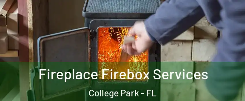 Fireplace Firebox Services College Park - FL