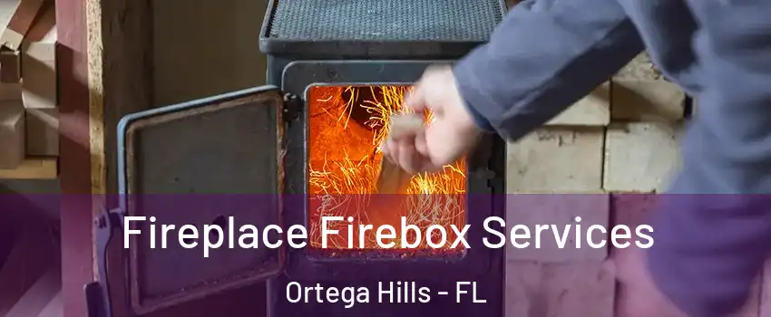 Fireplace Firebox Services Ortega Hills - FL