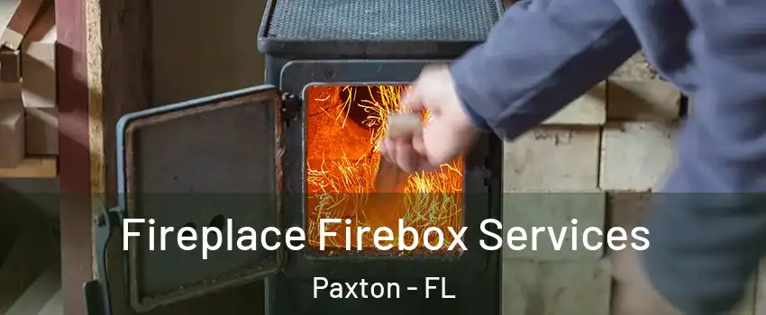 Fireplace Firebox Services Paxton - FL