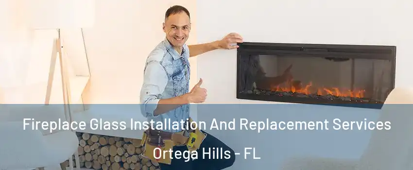 Fireplace Glass Installation And Replacement Services Ortega Hills - FL