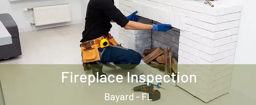 Fireplace Inspection Bayard - FL