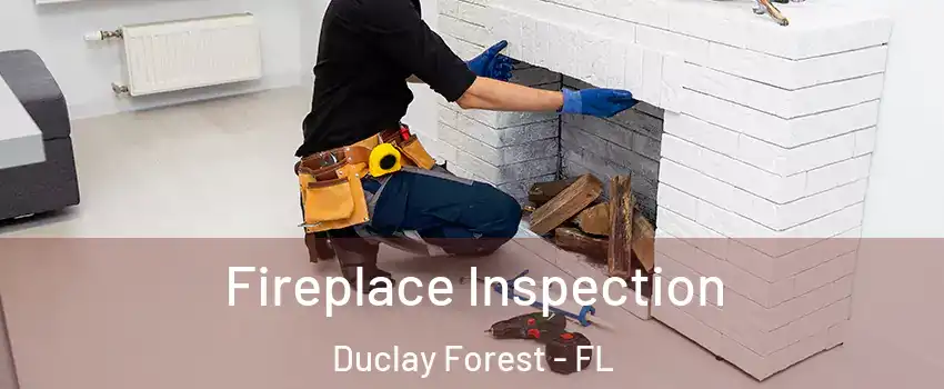 Fireplace Inspection Duclay Forest - FL