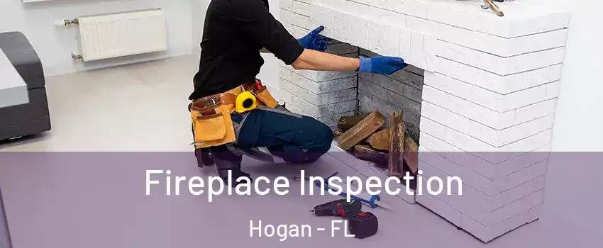 Fireplace Inspection Hogan - FL