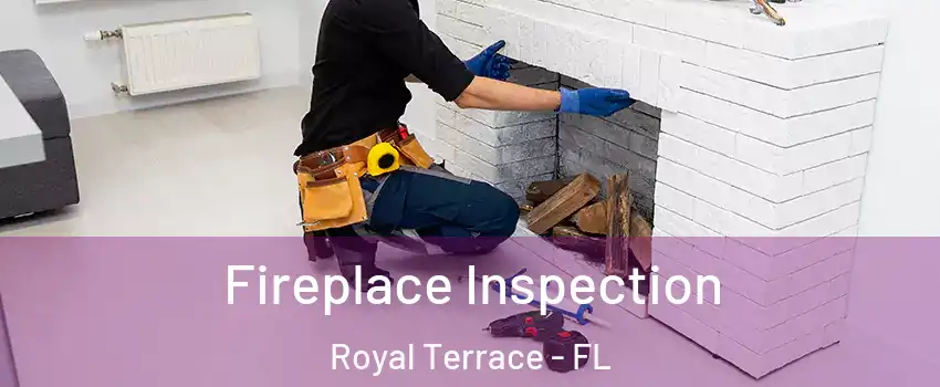 Fireplace Inspection Royal Terrace - FL