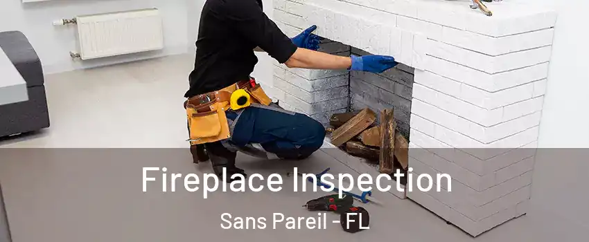 Fireplace Inspection Sans Pareil - FL
