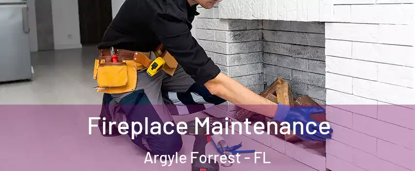 Fireplace Maintenance Argyle Forrest - FL