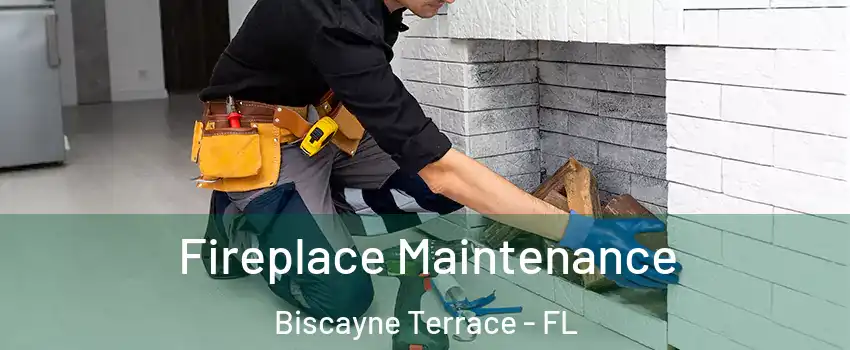 Fireplace Maintenance Biscayne Terrace - FL