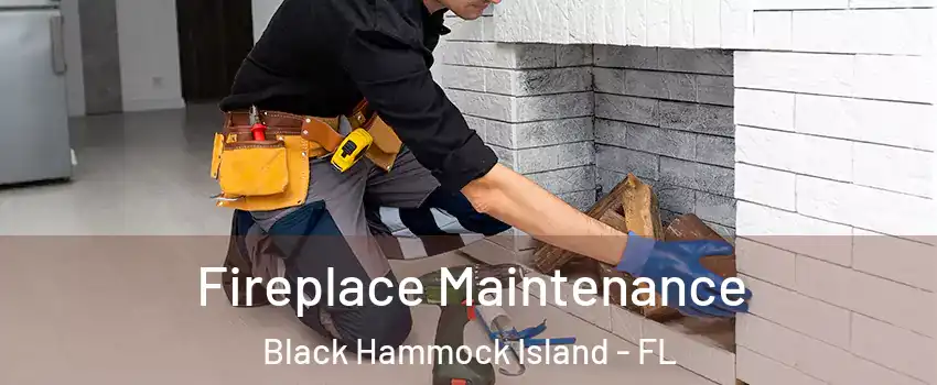 Fireplace Maintenance Black Hammock Island - FL