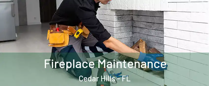 Fireplace Maintenance Cedar Hills - FL