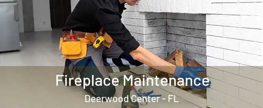 Fireplace Maintenance Deerwood Center - FL