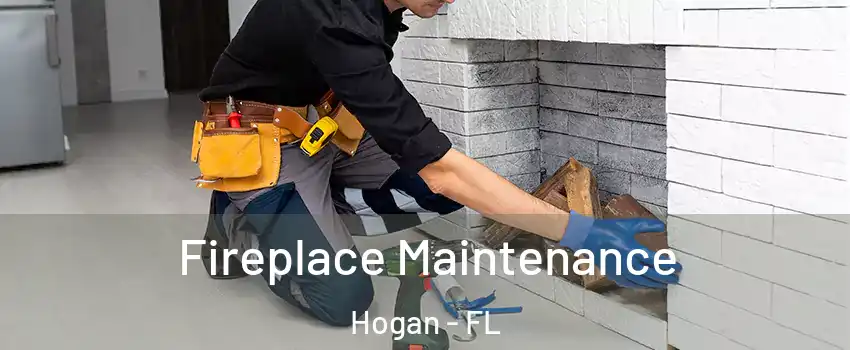 Fireplace Maintenance Hogan - FL