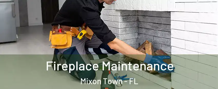 Fireplace Maintenance Mixon Town - FL