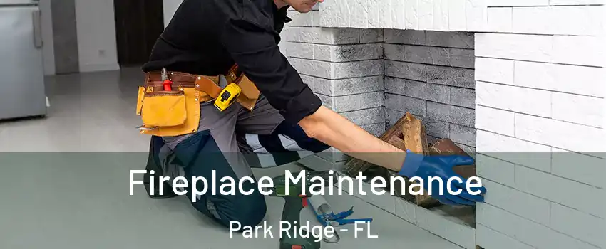 Fireplace Maintenance Park Ridge - FL