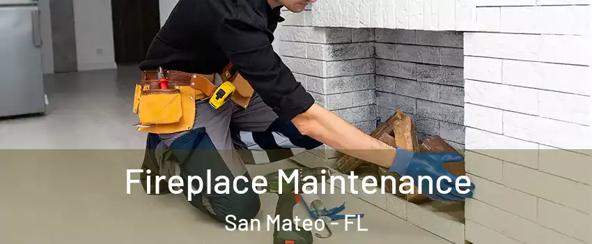 Fireplace Maintenance San Mateo - FL