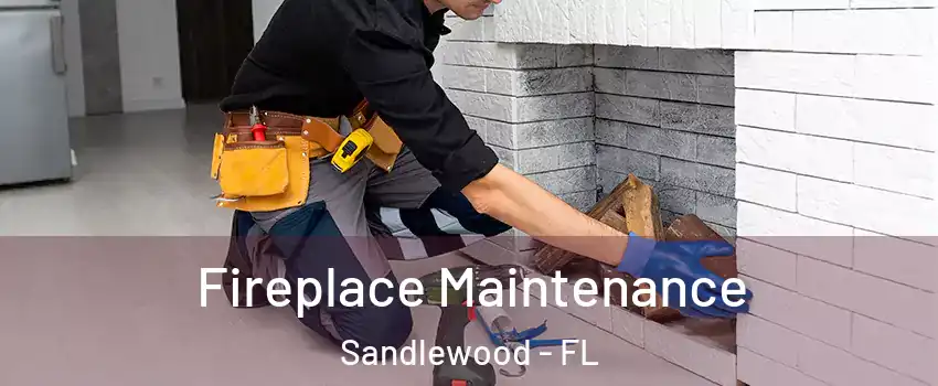 Fireplace Maintenance Sandlewood - FL
