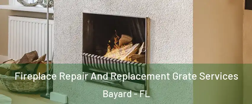 Fireplace Repair And Replacement Grate Services Bayard - FL