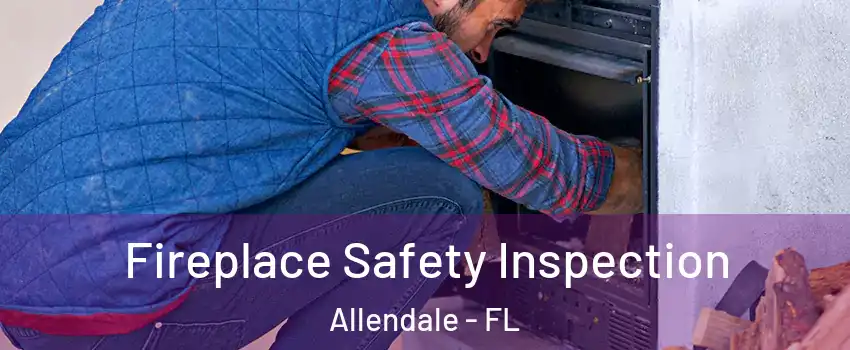 Fireplace Safety Inspection Allendale - FL