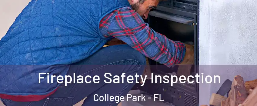 Fireplace Safety Inspection College Park - FL