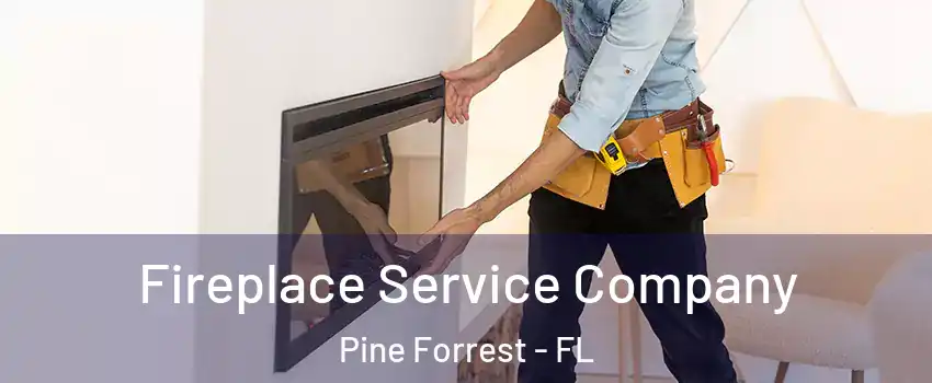 Fireplace Service Company Pine Forrest - FL