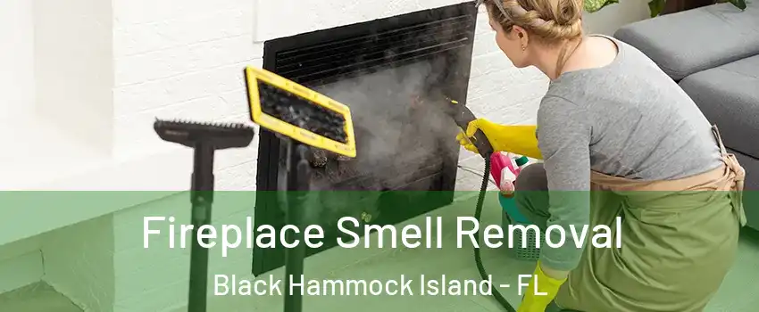 Fireplace Smell Removal Black Hammock Island - FL