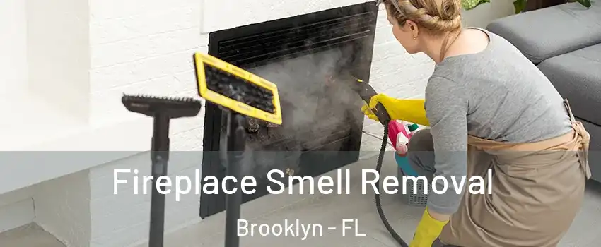 Fireplace Smell Removal Brooklyn - FL