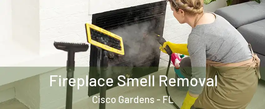 Fireplace Smell Removal Cisco Gardens - FL