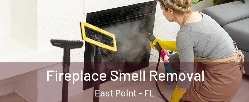 Fireplace Smell Removal East Point - FL