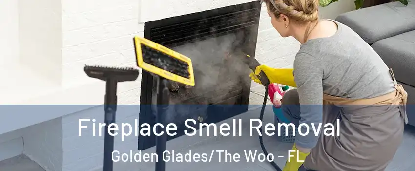 Fireplace Smell Removal Golden Glades/The Woo - FL