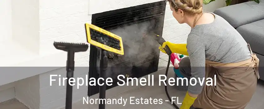 Fireplace Smell Removal Normandy Estates - FL