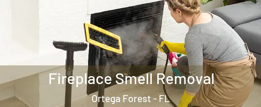 Fireplace Smell Removal Ortega Forest - FL