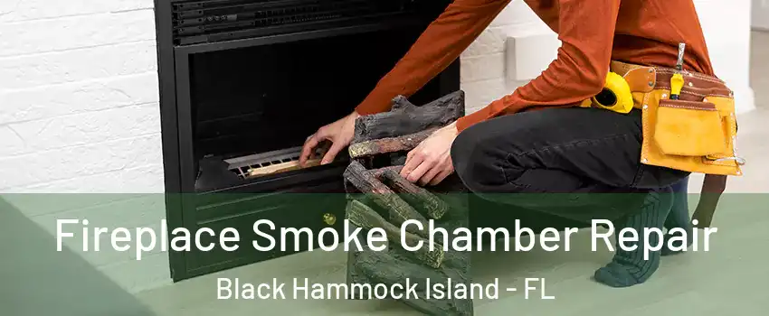 Fireplace Smoke Chamber Repair Black Hammock Island - FL