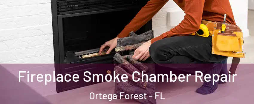 Fireplace Smoke Chamber Repair Ortega Forest - FL