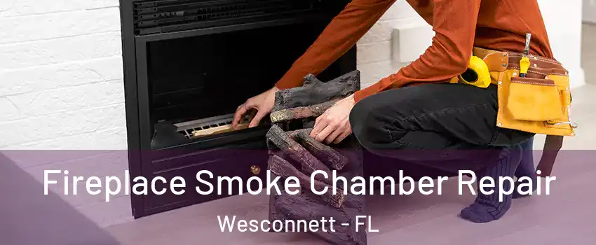 Fireplace Smoke Chamber Repair Wesconnett - FL
