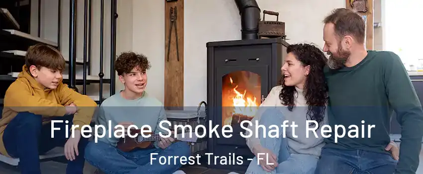 Fireplace Smoke Shaft Repair Forrest Trails - FL