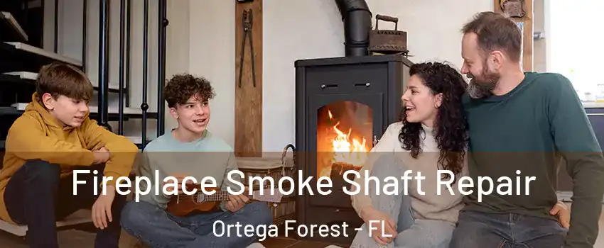 Fireplace Smoke Shaft Repair Ortega Forest - FL