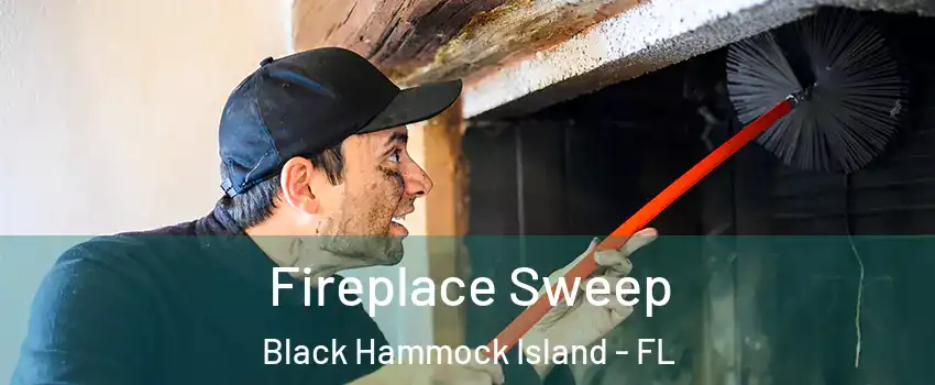 Fireplace Sweep Black Hammock Island - FL