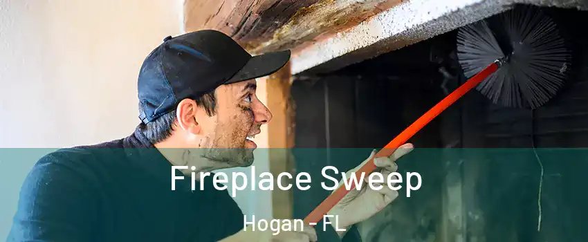 Fireplace Sweep Hogan - FL