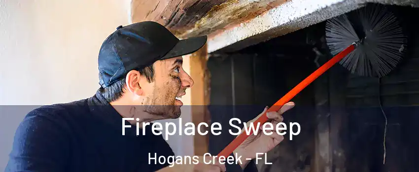 Fireplace Sweep Hogans Creek - FL