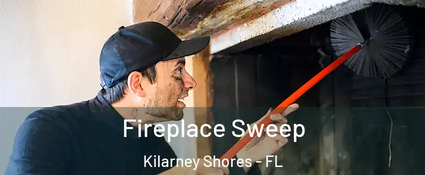 Fireplace Sweep Kilarney Shores - FL