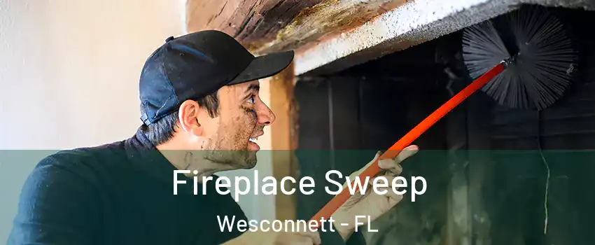 Fireplace Sweep Wesconnett - FL