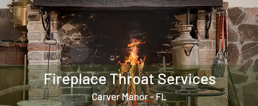 Fireplace Throat Services Carver Manor - FL