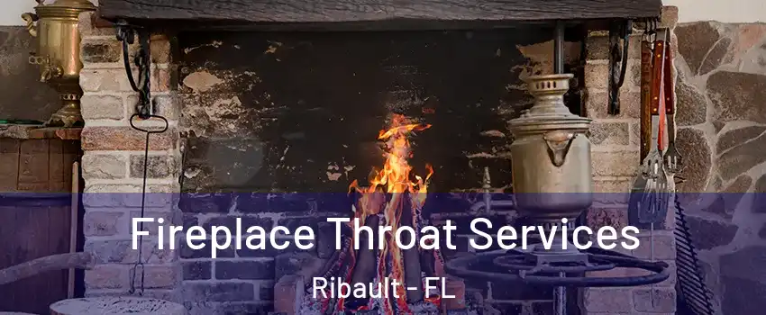 Fireplace Throat Services Ribault - FL