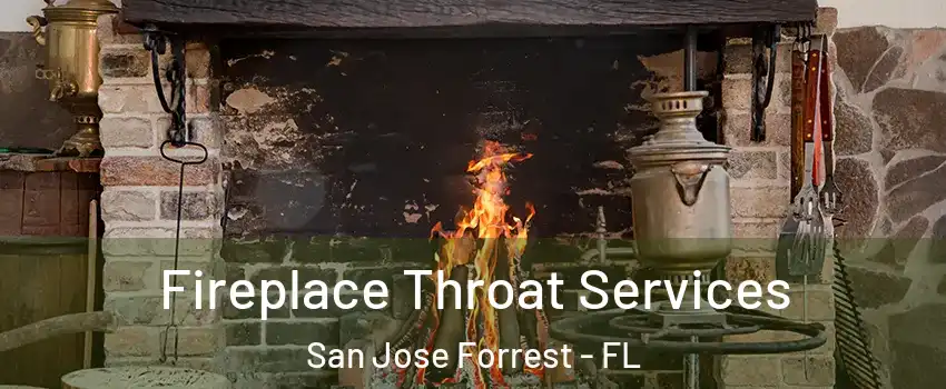 Fireplace Throat Services San Jose Forrest - FL