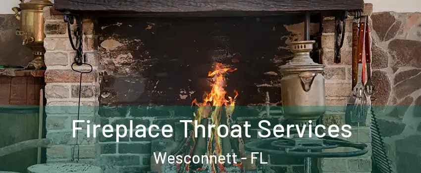 Fireplace Throat Services Wesconnett - FL