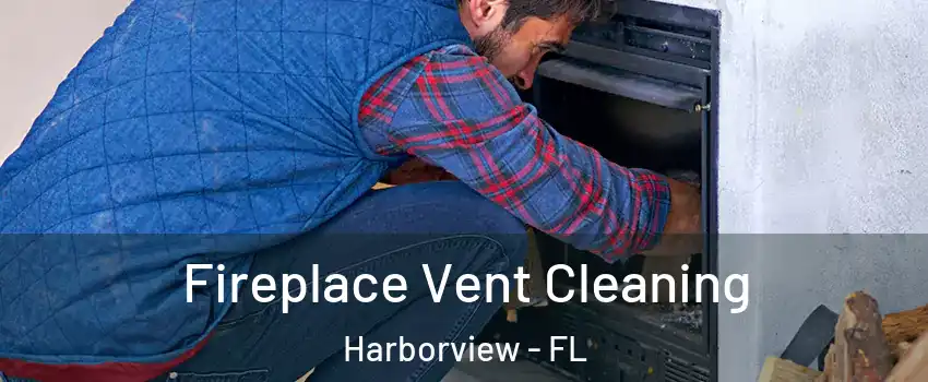 Fireplace Vent Cleaning Harborview - FL