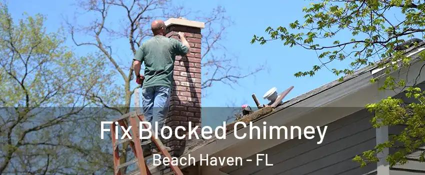 Fix Blocked Chimney Beach Haven - FL