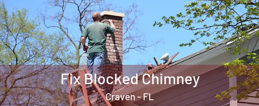 Fix Blocked Chimney Craven - FL