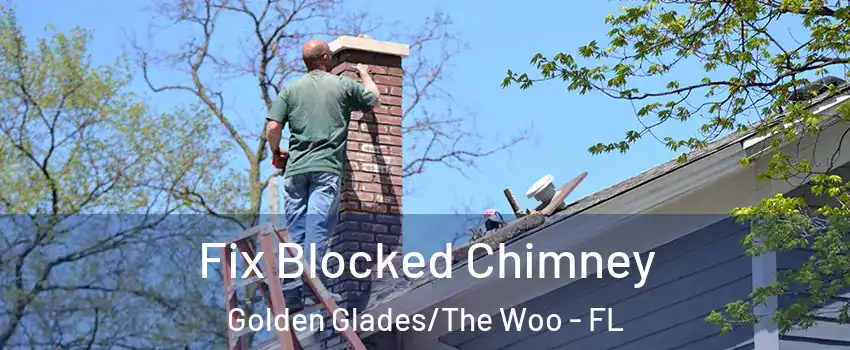 Fix Blocked Chimney Golden Glades/The Woo - FL