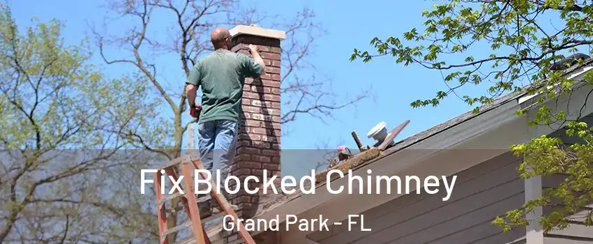 Fix Blocked Chimney Grand Park - FL